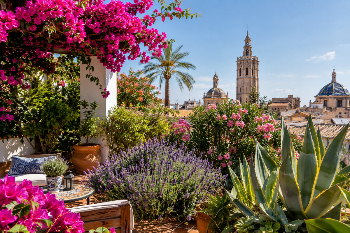 Las 10 Plantas que Mejor Aguantan el Calor Valenciano
