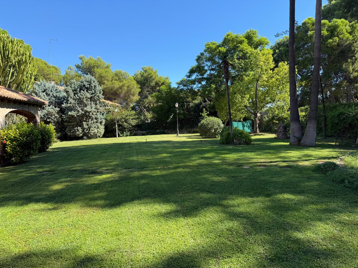 Jardín mediterráneo con césped verde y árboles en Valencia - Servicios de Jardinería Vivero De Abril