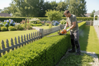 Servicio de poda de setos a domicilio en Valencia – Vivero De Abril
